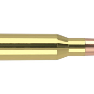 Nosler 7mm-08 Remington 120 Grain Ballistic Tip Brass Cased Centerfire Rifle Ammunition 40060 Caliber: 7mm-08 Remington, Number of Rounds: 500
